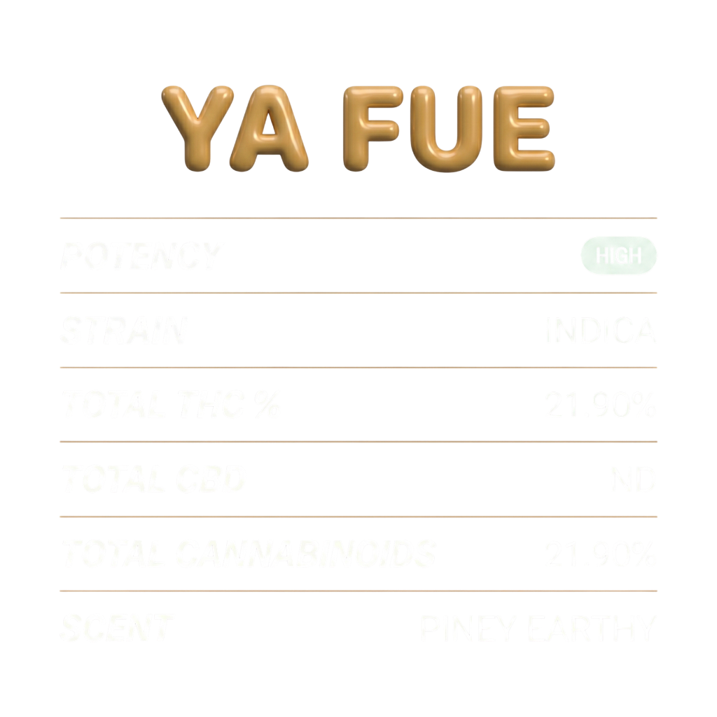Ya Fue | Hemp Flower Índica THCa para Dormir