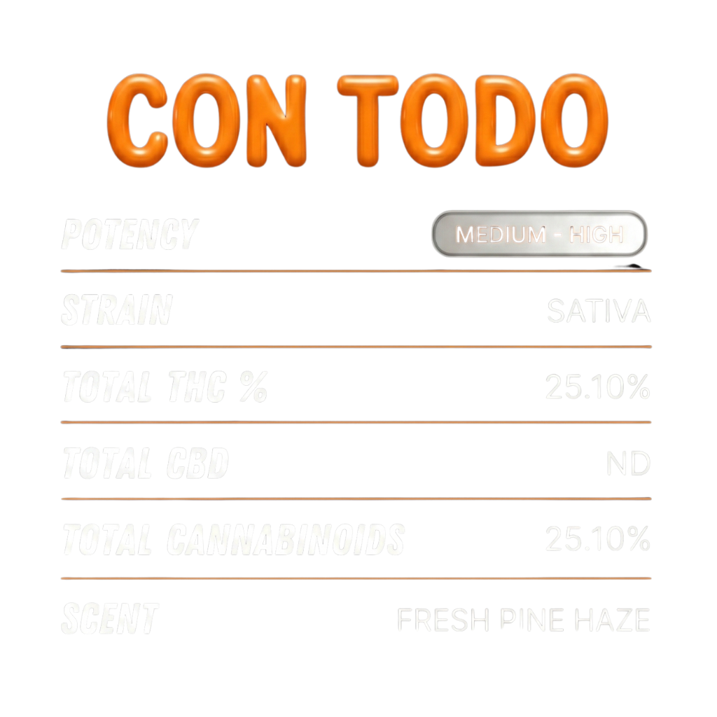 Con todo
