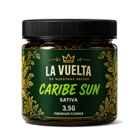 Caribe Sun