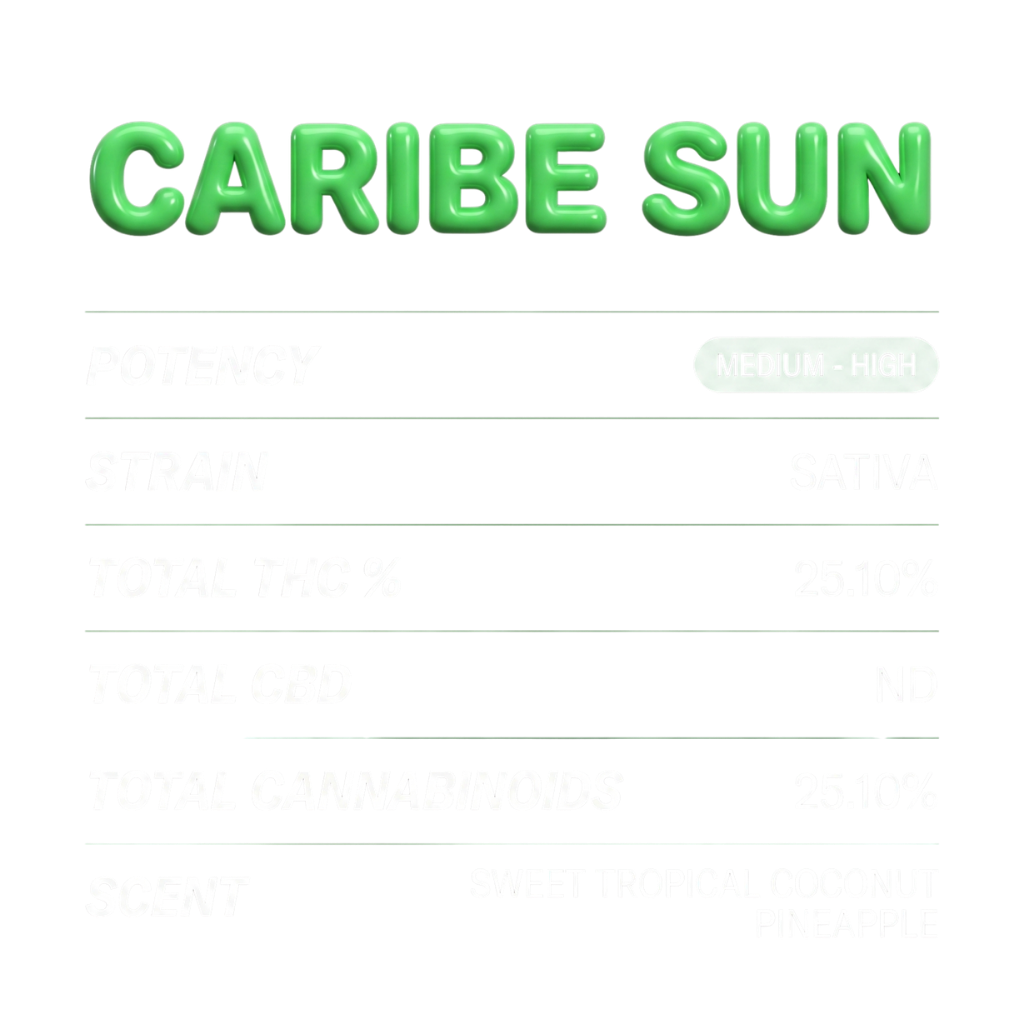Caribe Sun