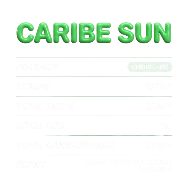 Caribe Sun
